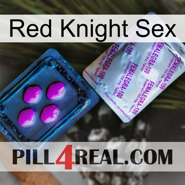 Red Knight Sex 37.jpg